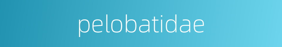 pelobatidae的同义词