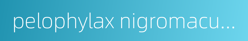 pelophylax nigromaculata的同义词