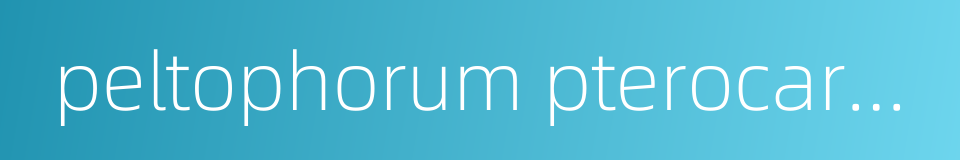 peltophorum pterocarpum的同义词