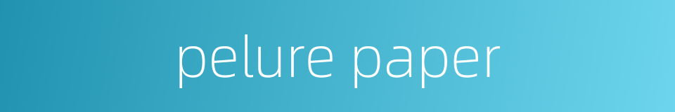 pelure paper的同义词