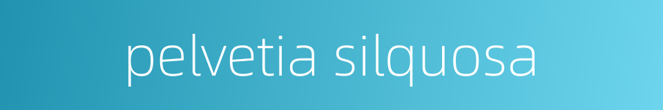 pelvetia silquosa的同义词