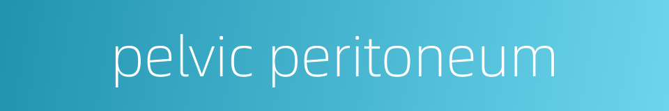 pelvic peritoneum的同义词