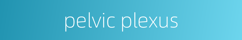 pelvic plexus的同义词