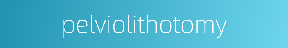 pelviolithotomy的同义词