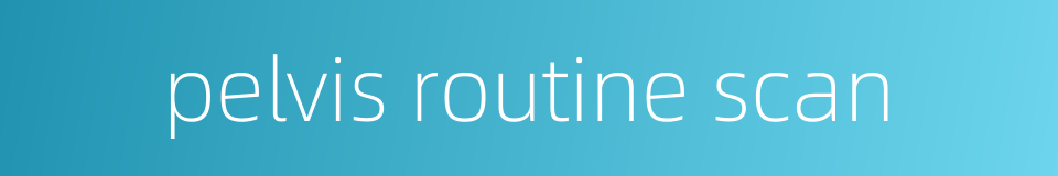 pelvis routine scan的同义词