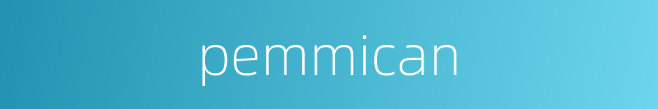 pemmican的同义词
