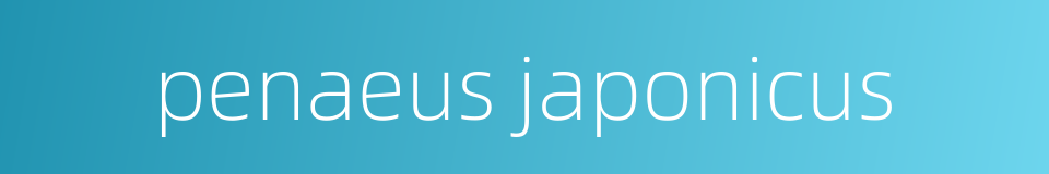 penaeus japonicus的同义词