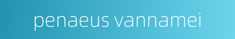 penaeus vannamei的同义词