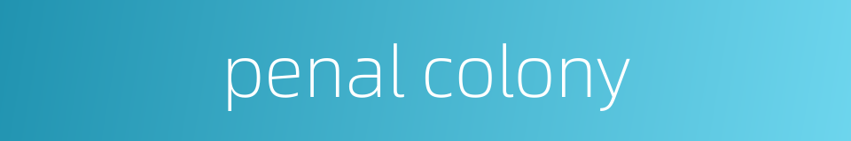 penal colony的同义词