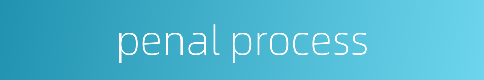 penal process的同义词
