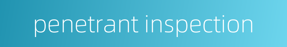 penetrant inspection的同义词