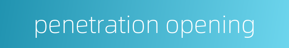 penetration opening的同义词