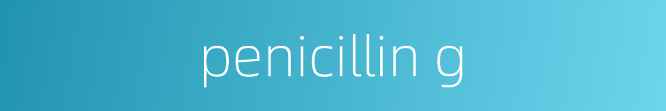 penicillin g的同义词