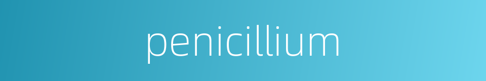 penicillium的同义词