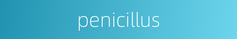 penicillus的同义词