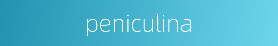 peniculina的同义词