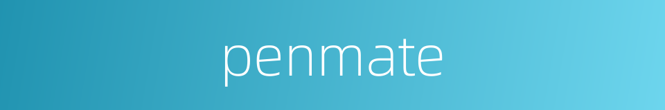 penmate的同义词