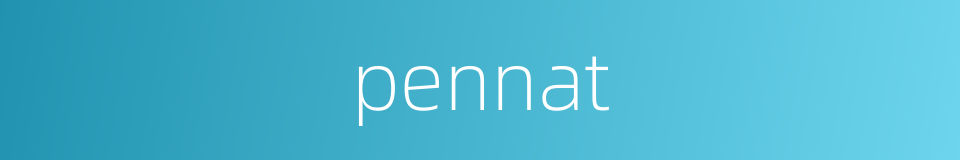 pennat的同义词
