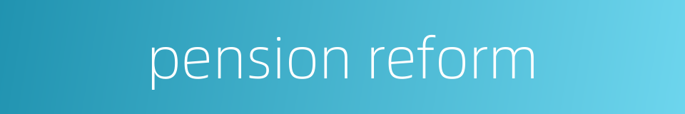 pension reform的同义词
