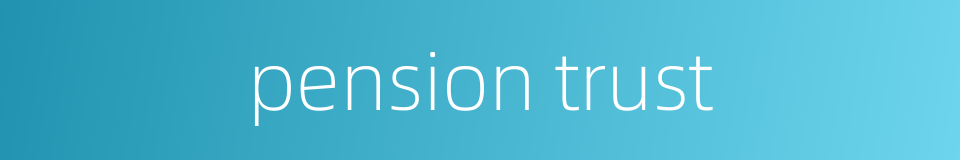 pension trust的同义词