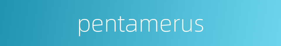 pentamerus的同义词