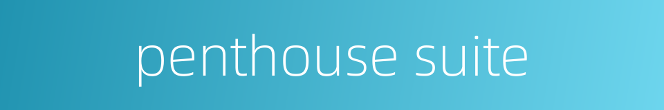 penthouse suite的同义词