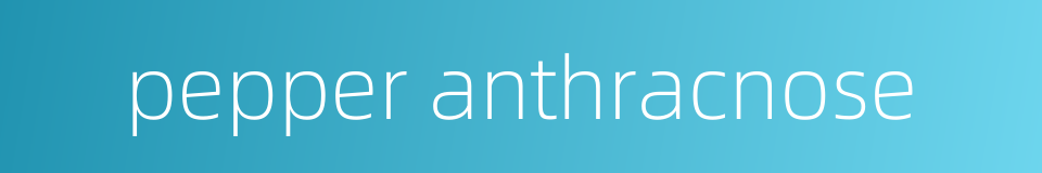 pepper anthracnose的同义词