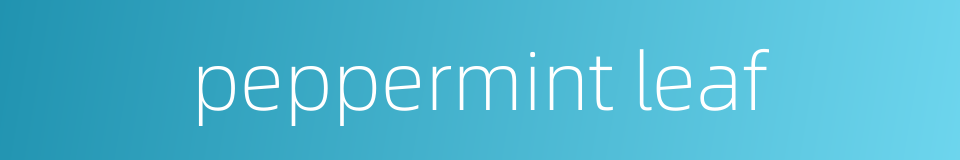 peppermint leaf的同义词
