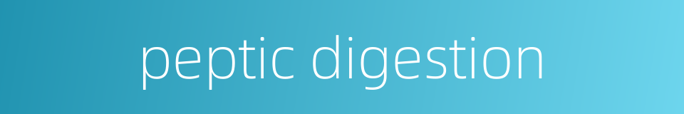peptic digestion的同义词