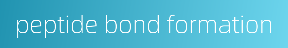 peptide bond formation的同义词