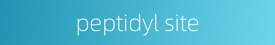 peptidyl site的同义词