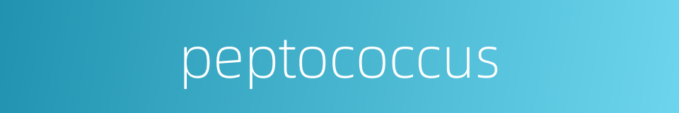 peptococcus的同义词