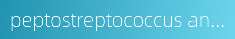 peptostreptococcus anaerobius的同义词
