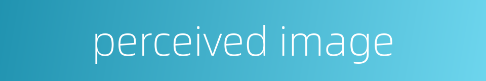 perceived image的同义词