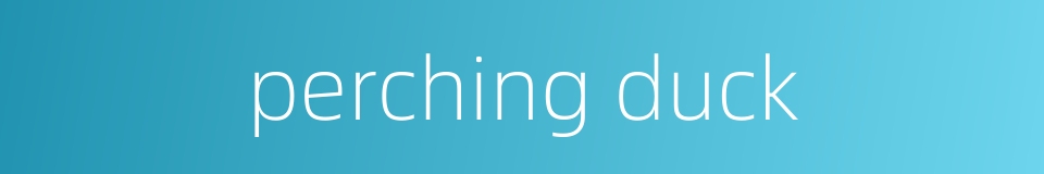 perching duck的同义词