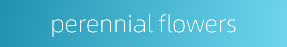 perennial flowers的同义词