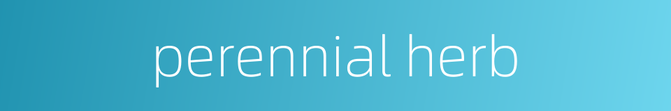 perennial herb的同义词
