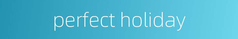 perfect holiday的同义词