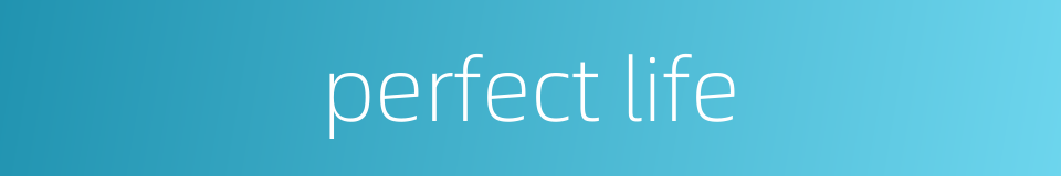 perfect life的同义词