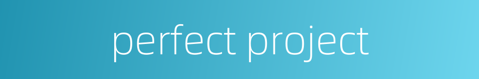 perfect project的同义词