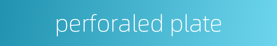 perforaled plate的同义词