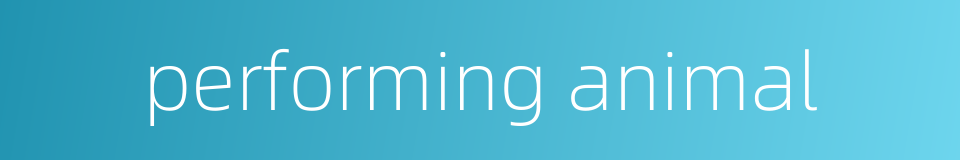 performing animal的同义词