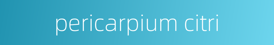 pericarpium citri的同义词