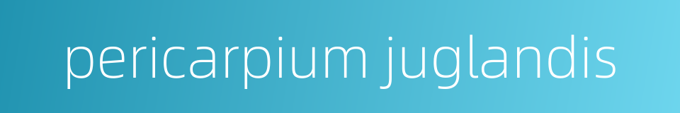 pericarpium juglandis的同义词