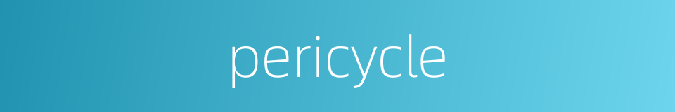 pericycle的同义词
