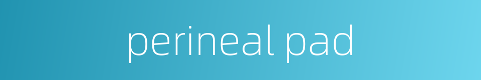 perineal pad的同义词