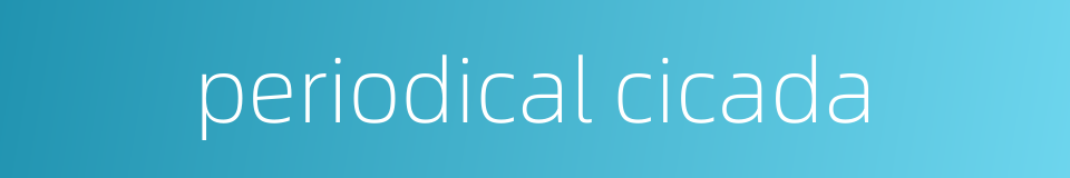 periodical cicada的同义词