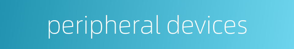 peripheral devices的同义词