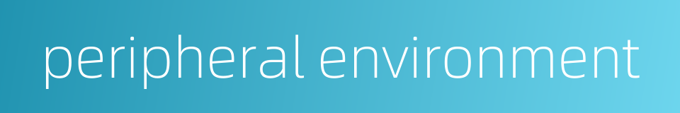 peripheral environment的同义词