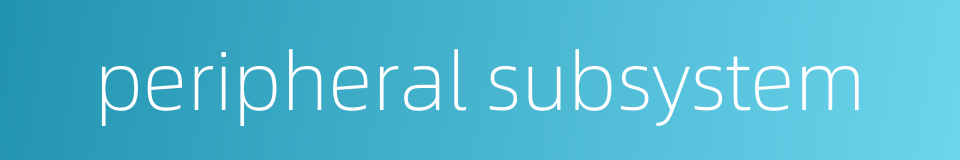 peripheral subsystem的同义词